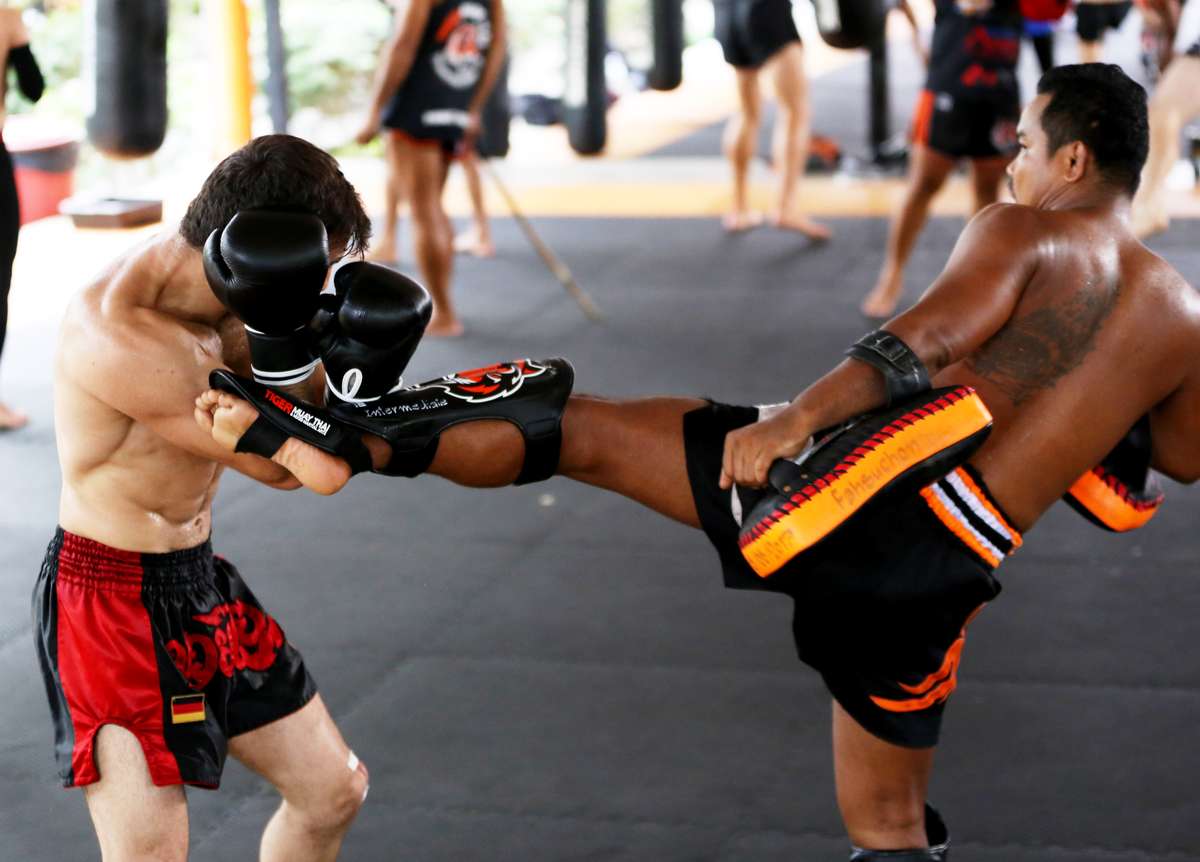 Тайгер муай. Тайгер Муай Тай. Тайгер Муай Тай Пхукет. Пауло Коста Tiger Muay Thai.