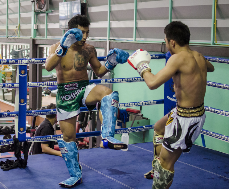RDX Protège Tibia Boxe Thai Kick Boxing Arts Martiaux MMA D'entraînement Maya Hide Cuir Kara Protege Tibia Muay Thai Krav Maga Sparring BJJ Karaté et Combat Libre Training Pied Protection